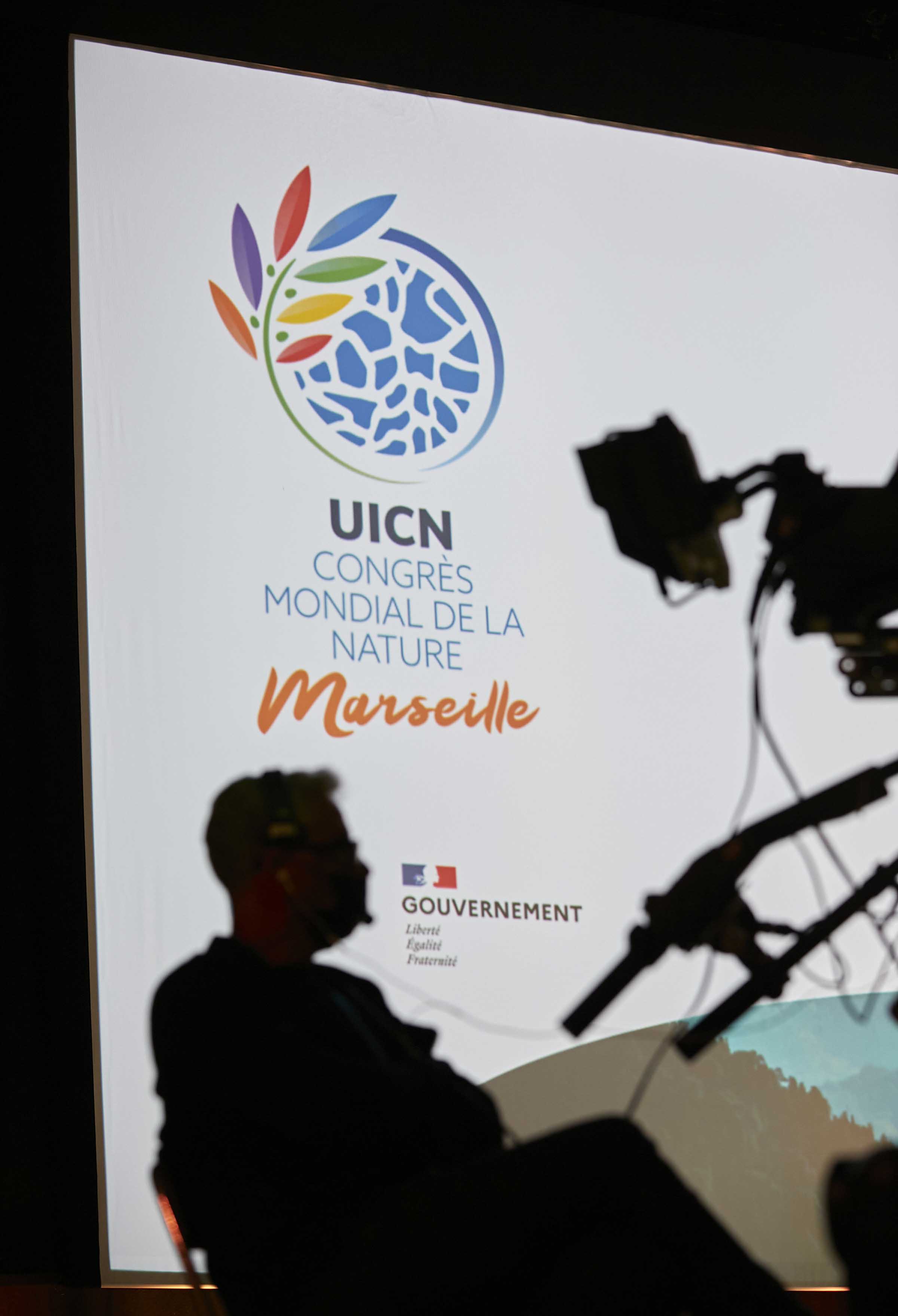 A camera operator at the IUCN World Conservation Congress in Marseille