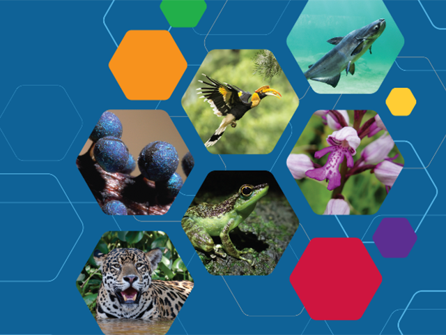 IUCN Species Strategic Plan