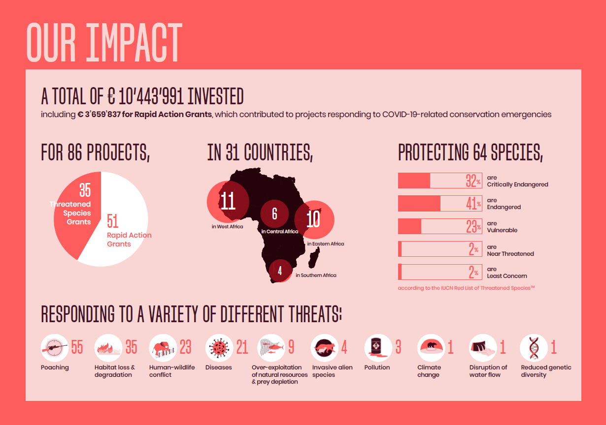 SOS African Wildlife Summary Report impact screencap