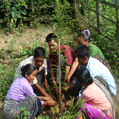 Community members planting a medicinal plant, Chittagong Hill Tracts, Bangladesh