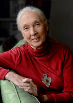 Dr. Jane Goodall, DBE (UK, West Europe)