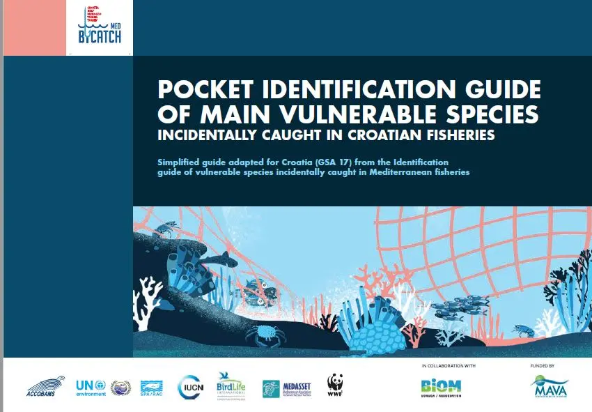 croatia-vulnerable-marine-species-fisheries-bycatch-pocket-english.jpg