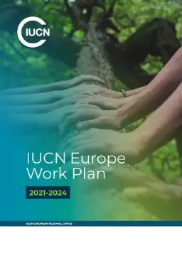 Work Plan cover