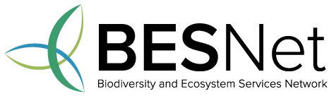 BESNET logo