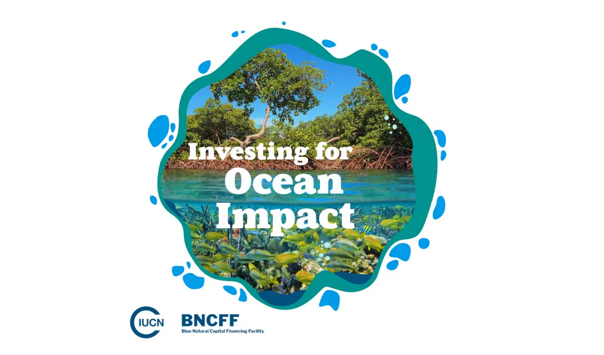 Investing for Ocean Impact
