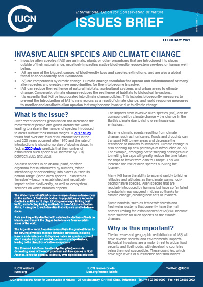 thumbnail_ias_and_climate_change_issues_brief_2021