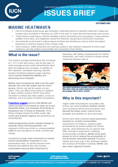 thumbnail_iucn_marine_heatwaves_issues_brief_october21.jpg