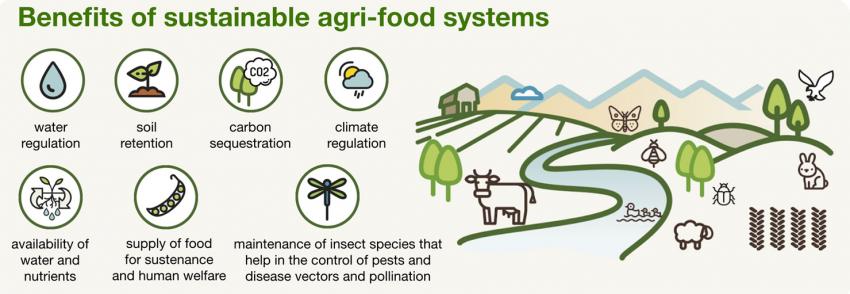 benefits-of-sustainable-agri-food-systems