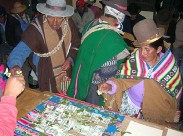 Distribution of benefits from vicuña wool harvest in Sajama, Plurinational State of Bolivia