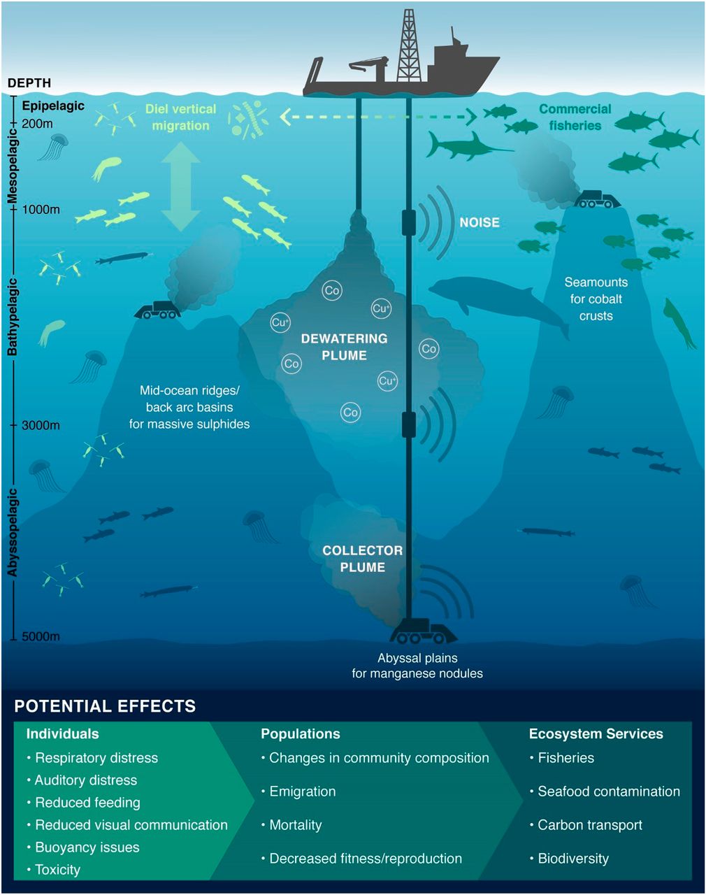 Deep-sea mining - resource | IUCN