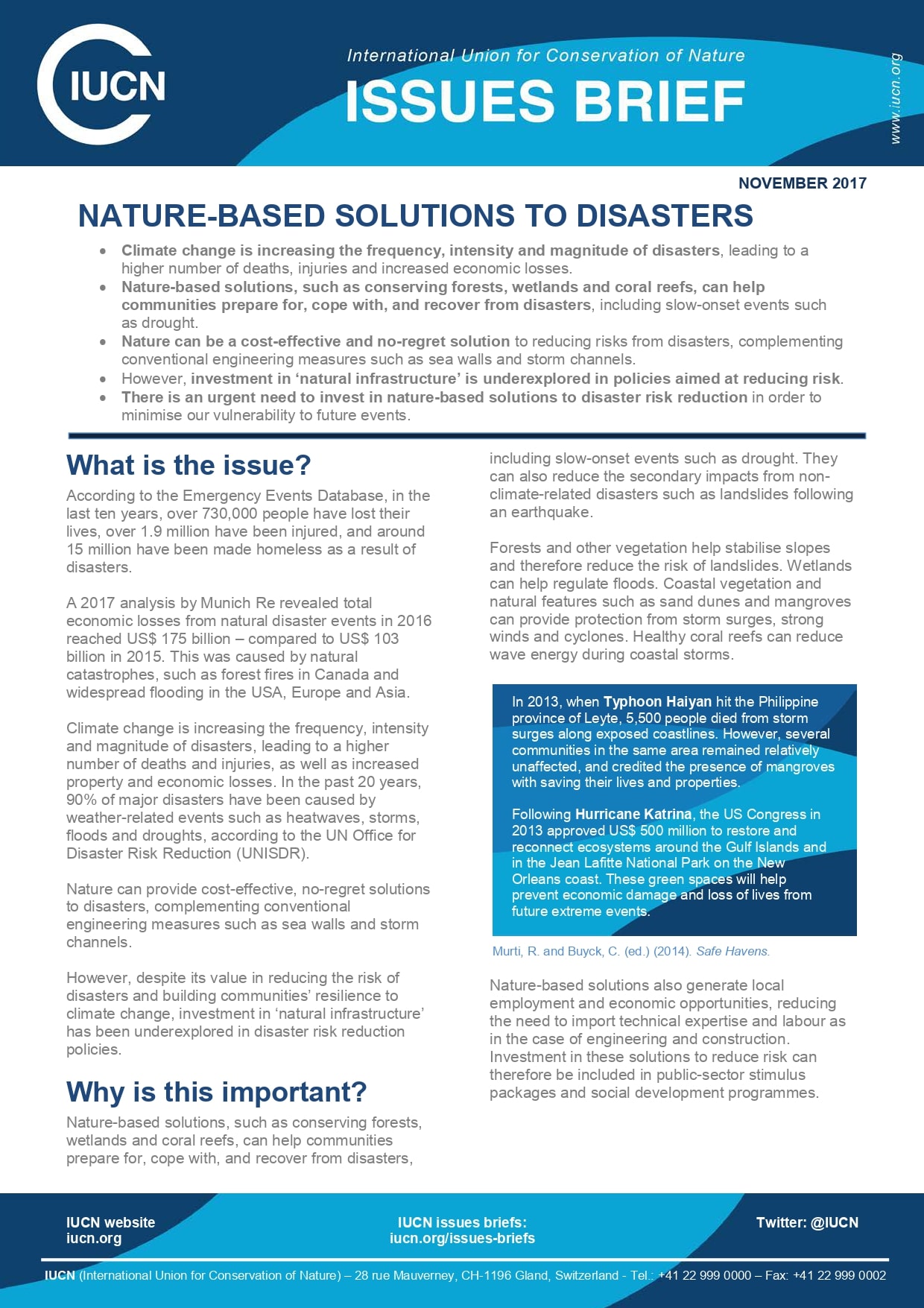 Nature-based solutions to disasters