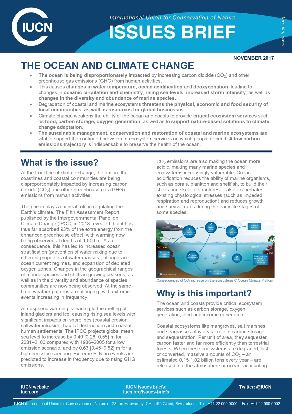 The ocean and climate change