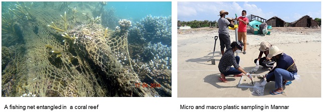 -fishing-net-entangled-in-a-coral-reef-ar-and-micro-and-macro-plastic-sampling