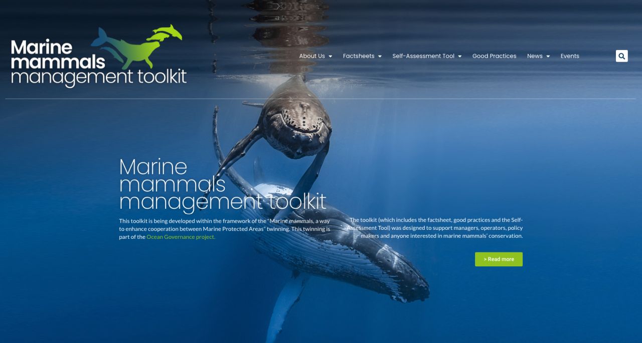 Marine Mammals Management Toolkit - Story | IUCN