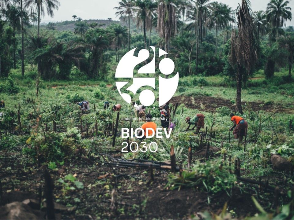 BIODEV2030 logo