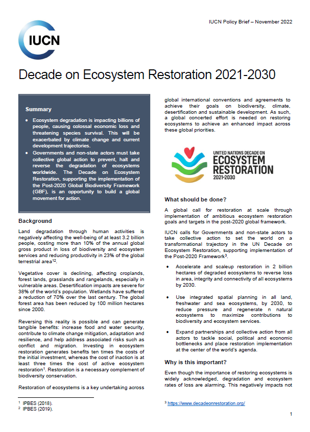 Decade on Ecosystem Restoration 2021-2030 - Policy Brief thumbnail cover