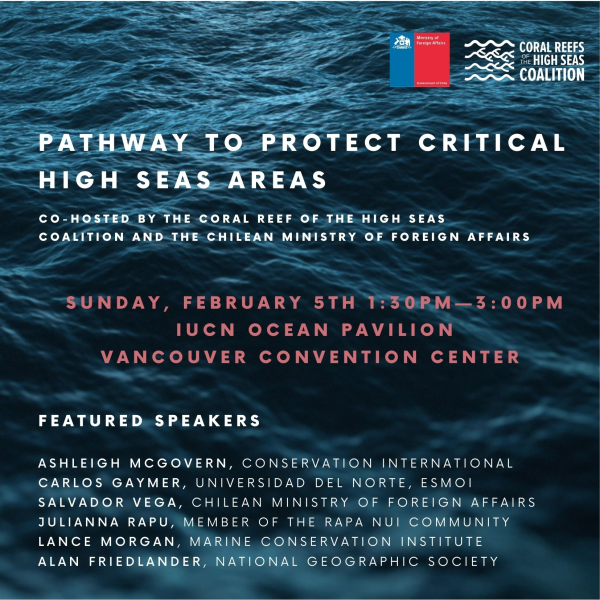 Pathway to protect critical high seas event flyer 