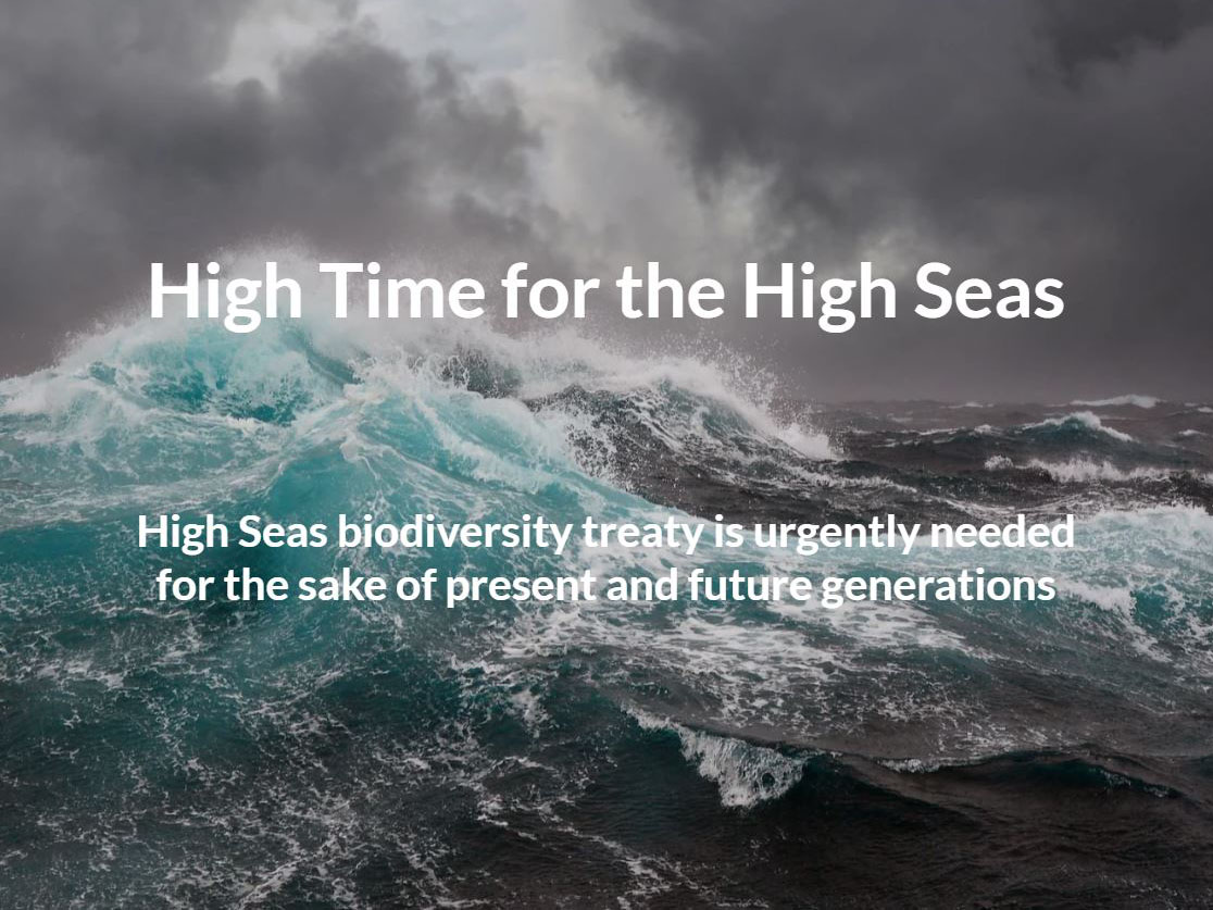 high seas digital story cover