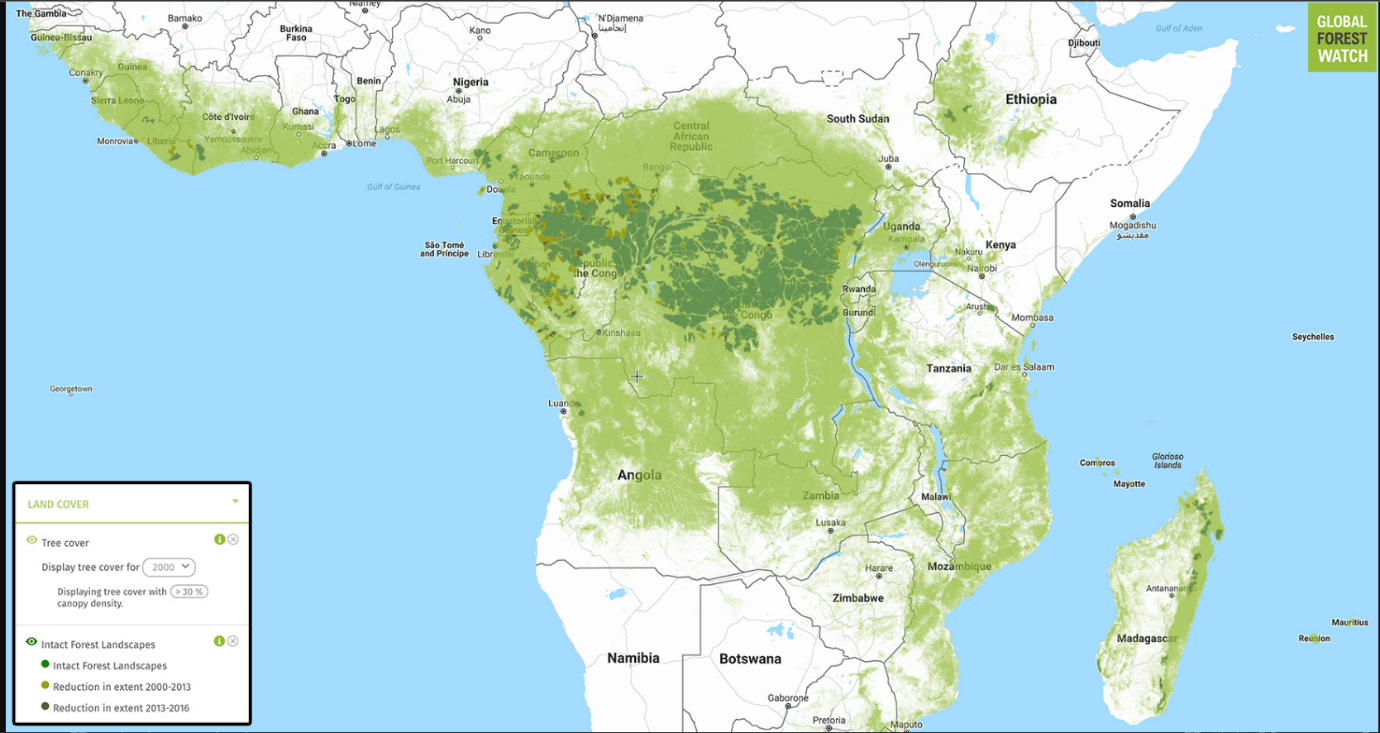 Screenshot - Global Forest Watch