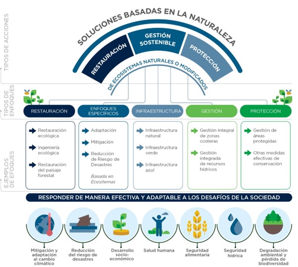 Representación conceptual del paraguas NbS para las cinco categorías de Enfoques basados en Ecosistemas (adaptado de Cohen-Shacham, 2019)