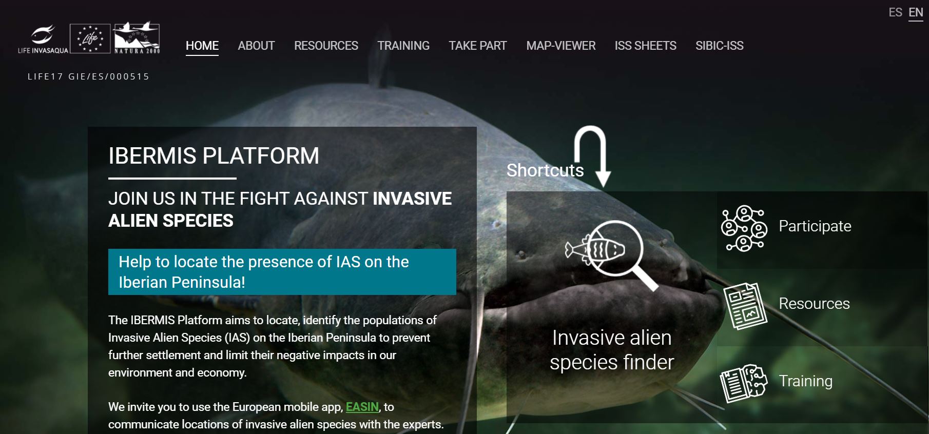 Screenshot of the Ibermis platform