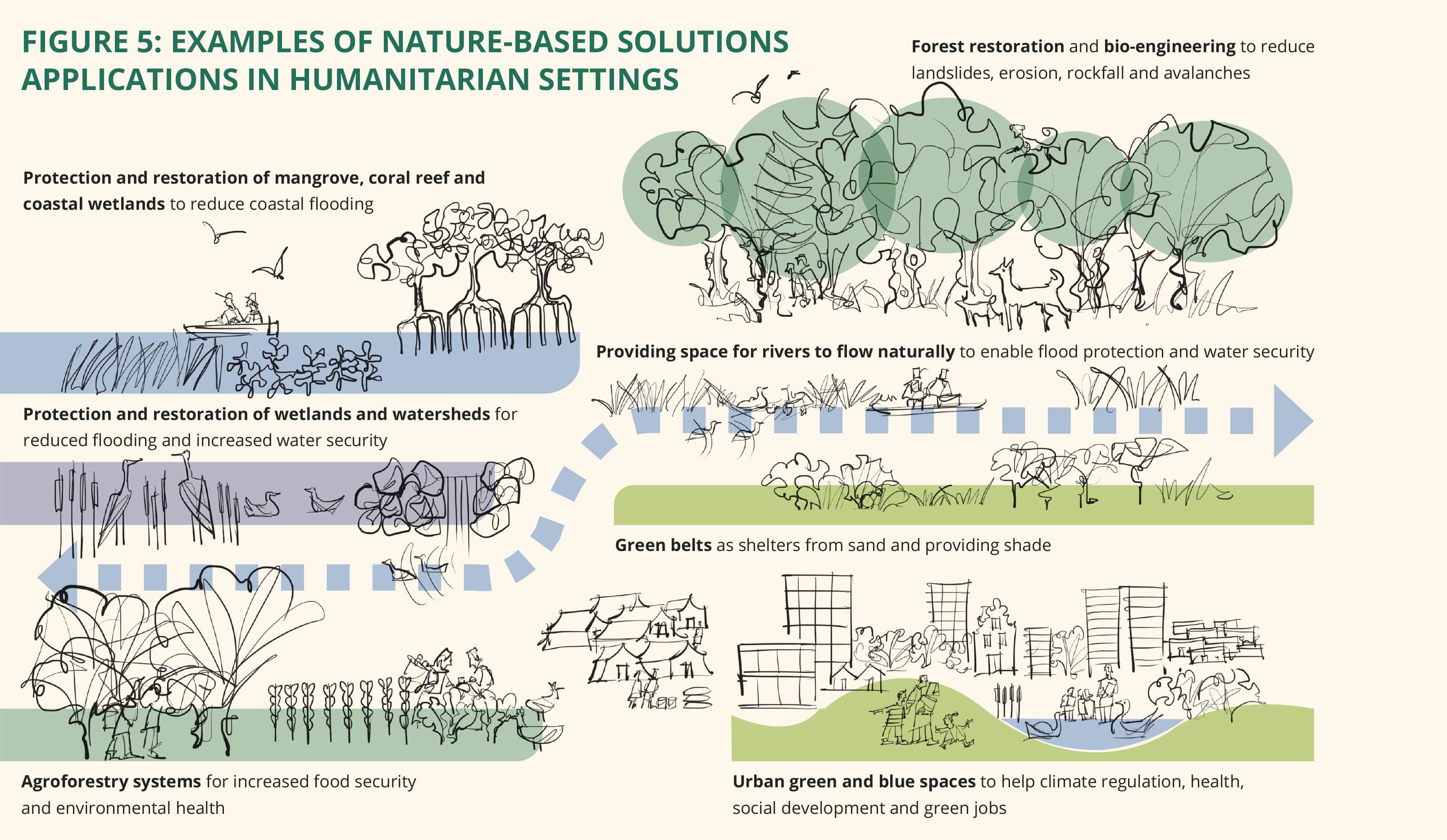 Guidance on Nature-based Solutions in humanitarian action launched in  collaboration with Sphere - News