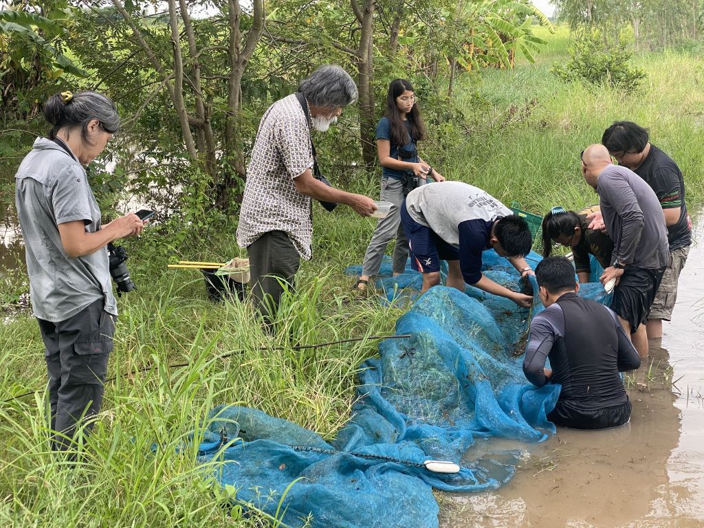 Participatory surveys to support conservation of SomPhongs’s Rasbora in Thailand (c) SNF