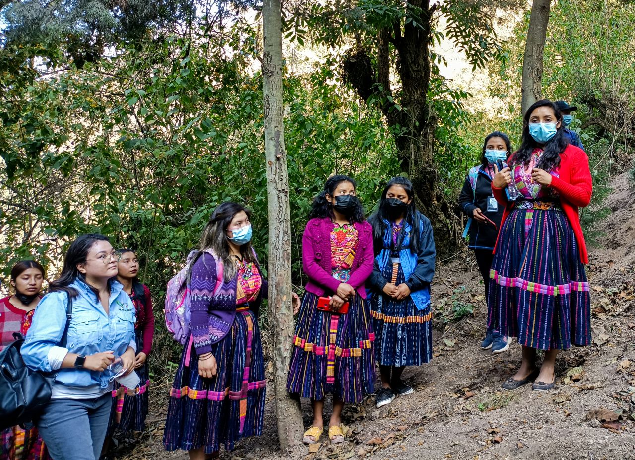 Dado que conservan la cobertura boscosa y la diversidad biológica de las tierras bajo su administración, los Pueblos Indígenas son considerados guardianes de los bosques.