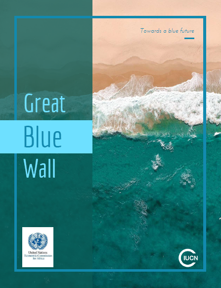 Great Blue Wall Brochure Cover