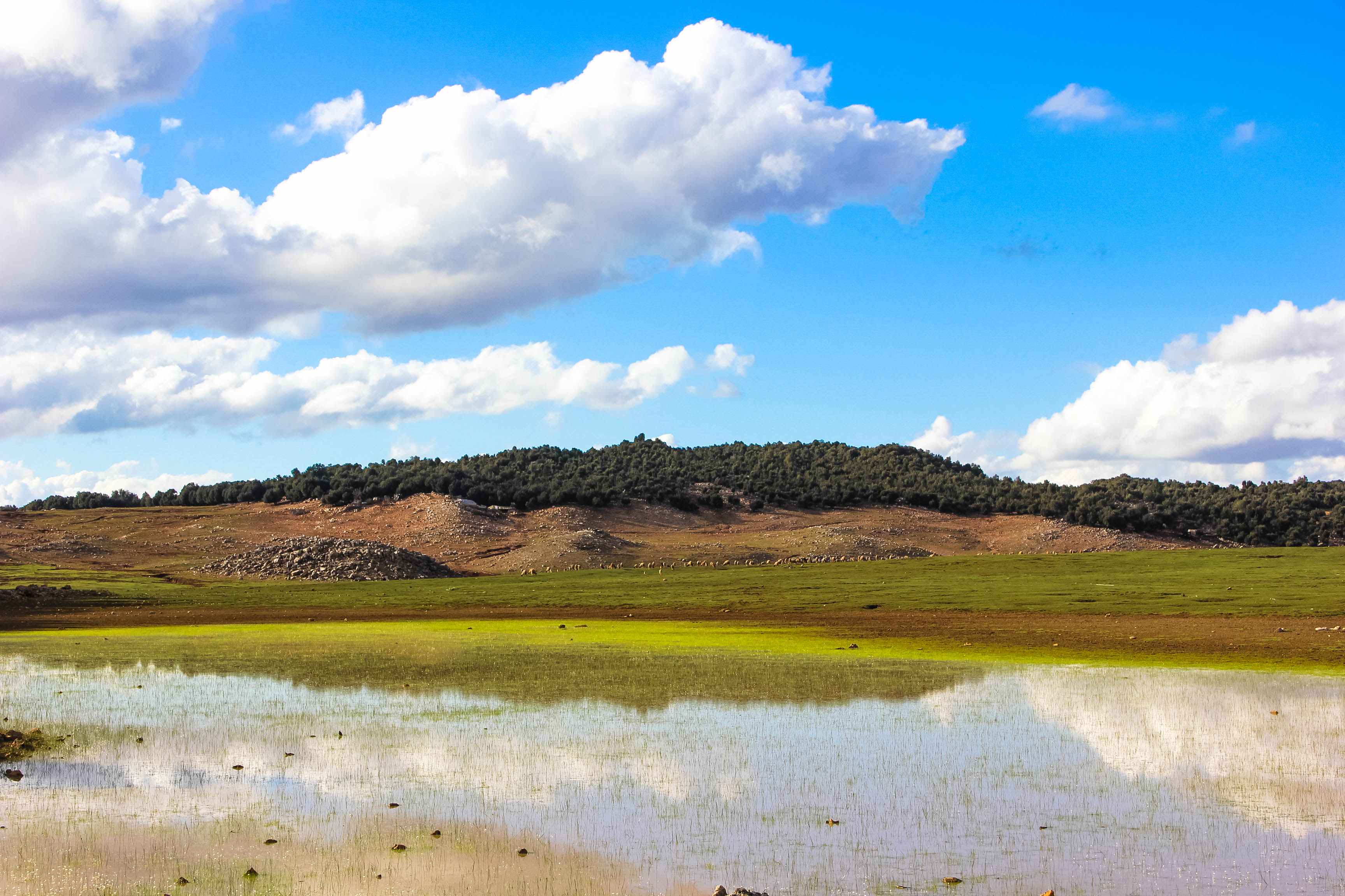 Picture of a lake in Aguelmam Azegza National Park