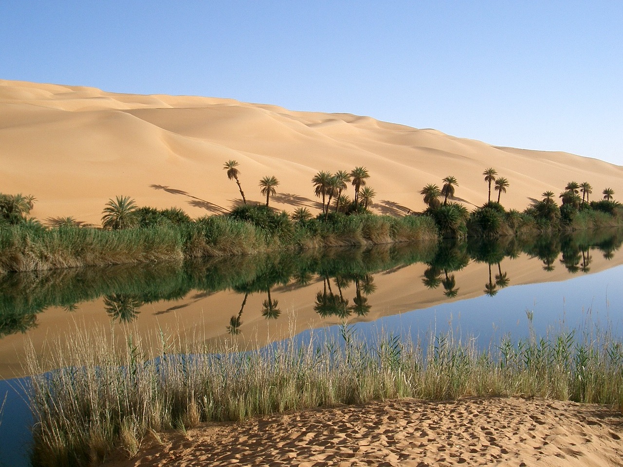 Picture of an oasis in Libya