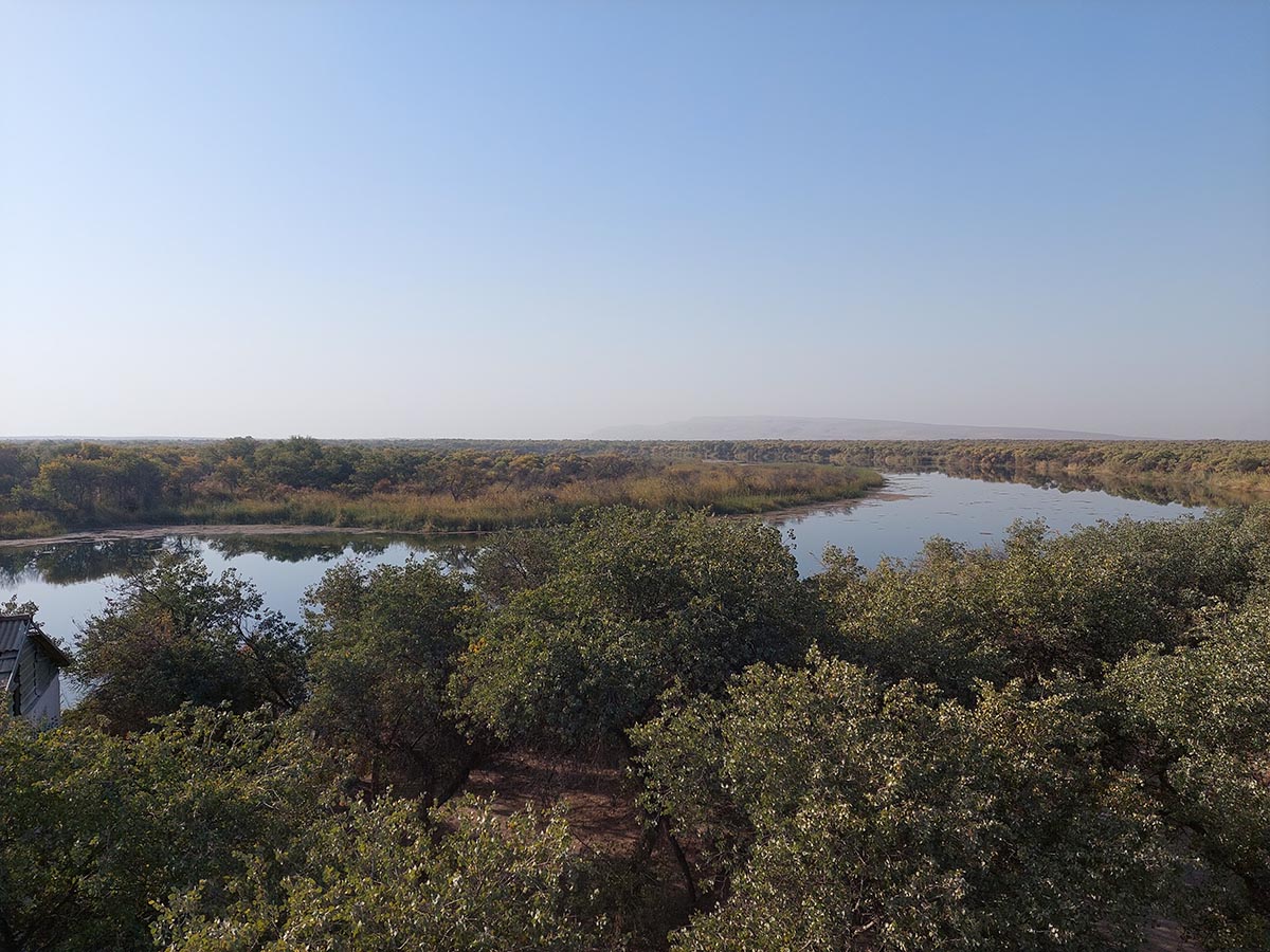 Tajikistan’s Tugay forests of the Tigrovaya Balka Nature Reserve contain the largest Tugay forest massif in Central Asia with many threatened species 
