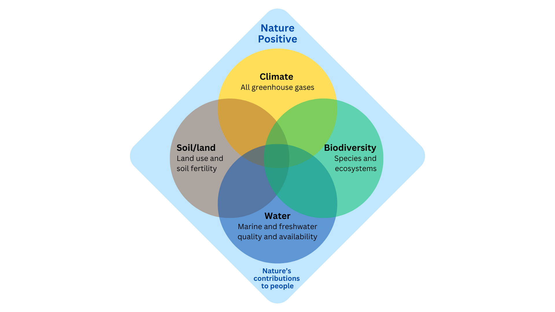 Venn diagram of Nature-Positive showing Climate, Biodiversity, Soil and Water components