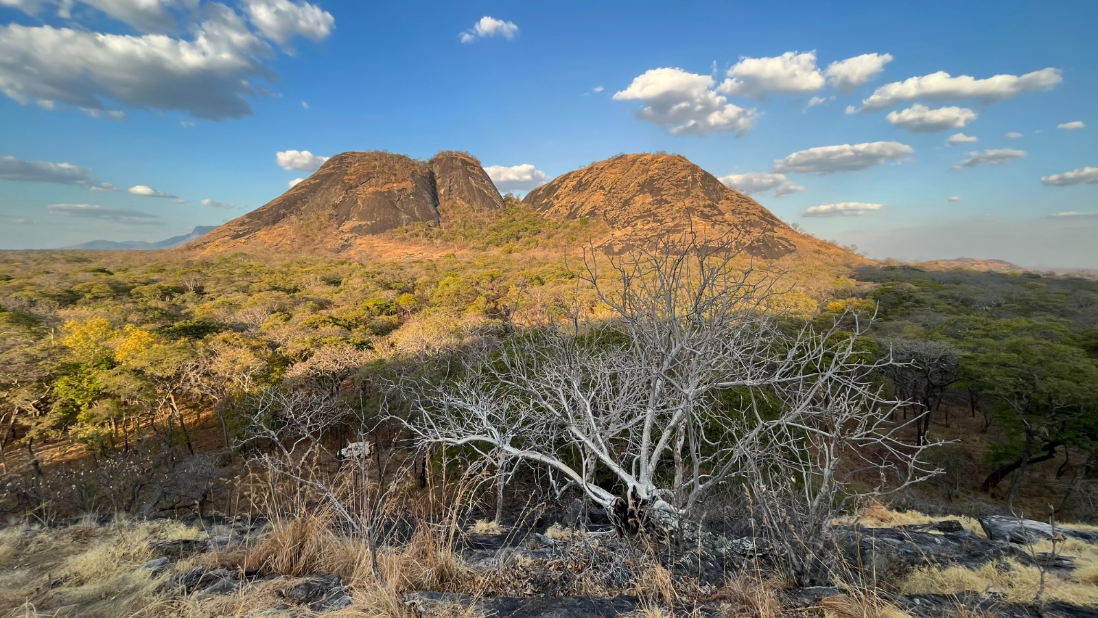 Niassa Special Reserve Landscape in Mozambique
