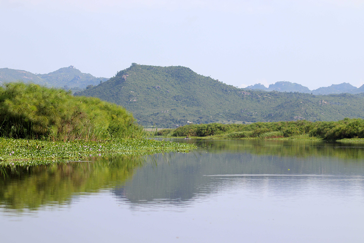 Few ecosystems are well monitored, and their ecological status unknown. Mara River, Tanzania.