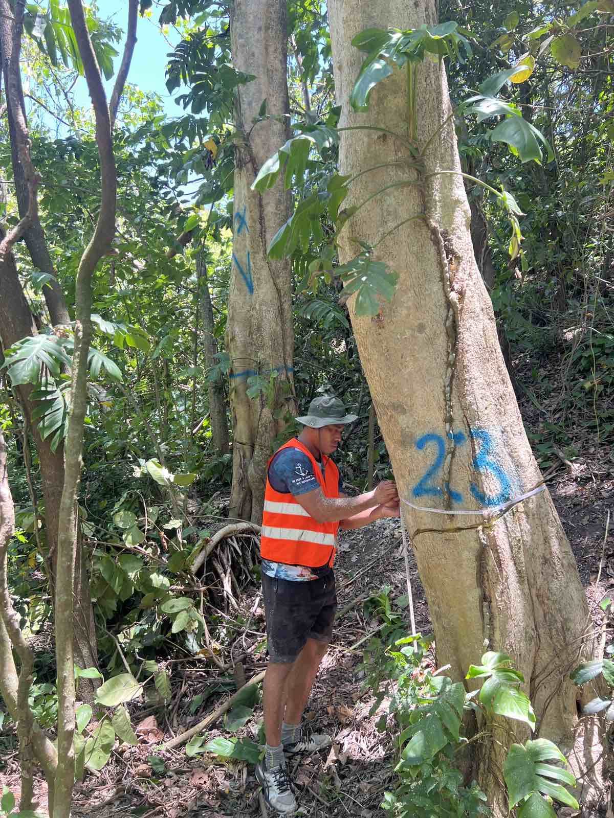 The Sigatoka Sand Dunes National Park rangers doing weed work for African tulip eradication at the site  on 12 - 15 December, 2023.
