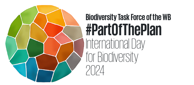 2024 International Day for Biodiversity logo