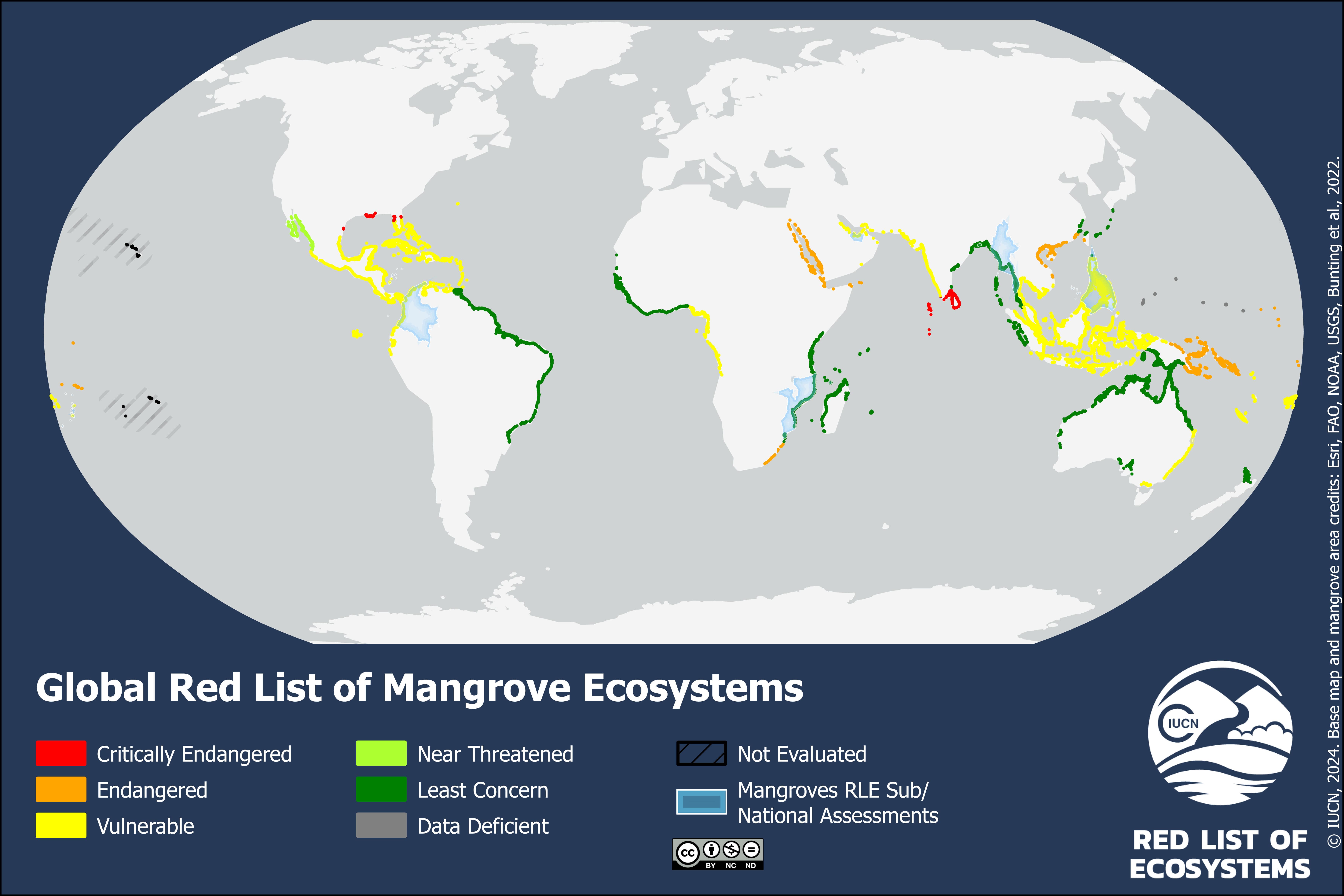 The global mangrove areas are depicted above 
