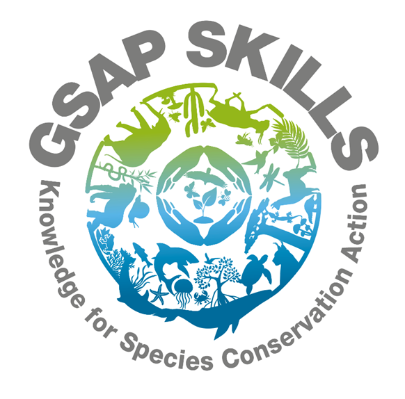 GSAP SKILLS logo