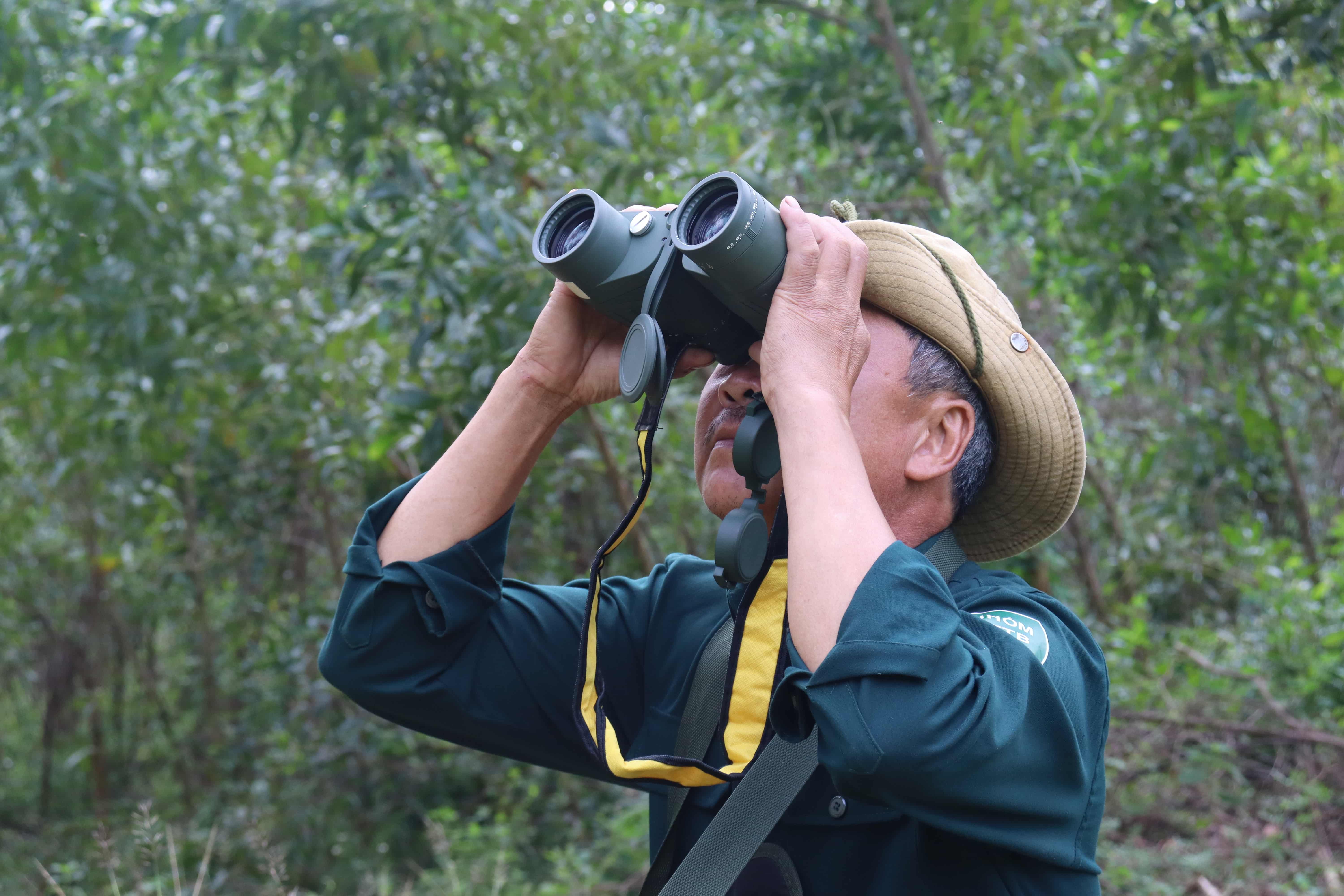 Man looking through binoculars in a field