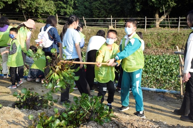 Group of children holding tools to pull plants out of the ground