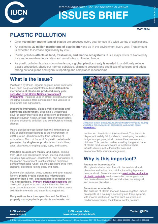 research papers on plastic pollution