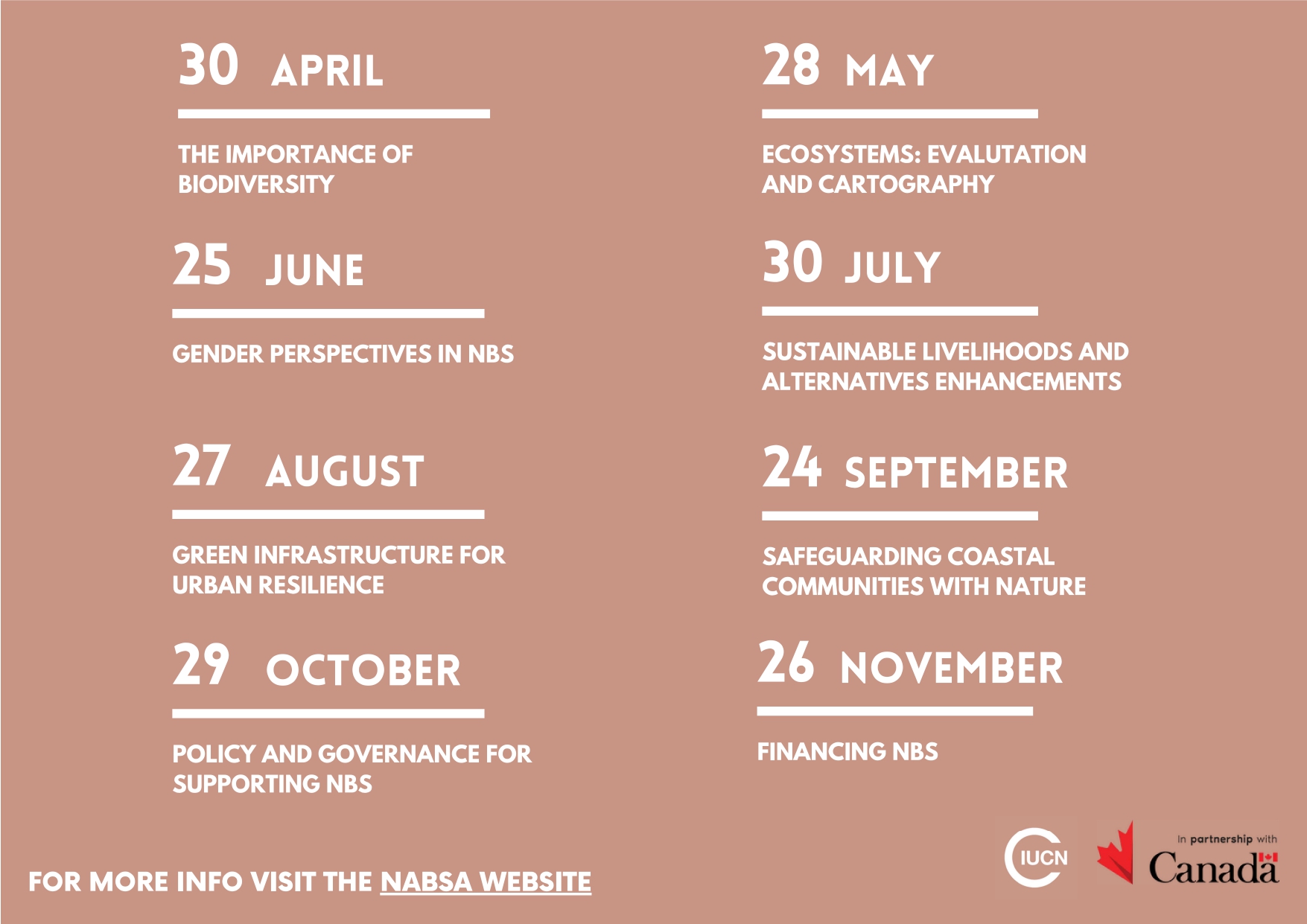 NAbSA Dialogues Calendar of Events in English