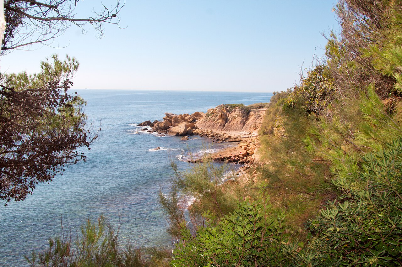 Picture of the coast line of the Côte Bleue Marine Park through trees