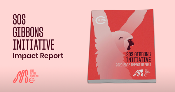 SOS Gibbons impact report