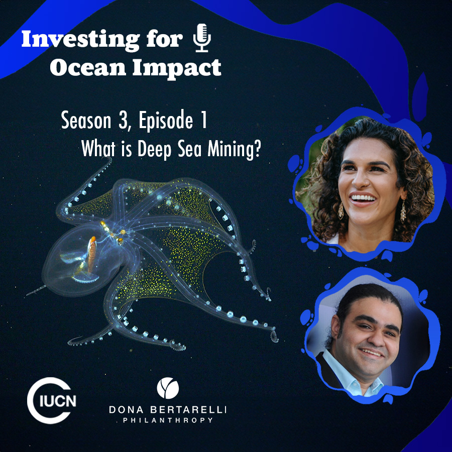 Investing for Ocean Impact, Season 3, Episode 1: Deep sea Mining Explained - The Guests