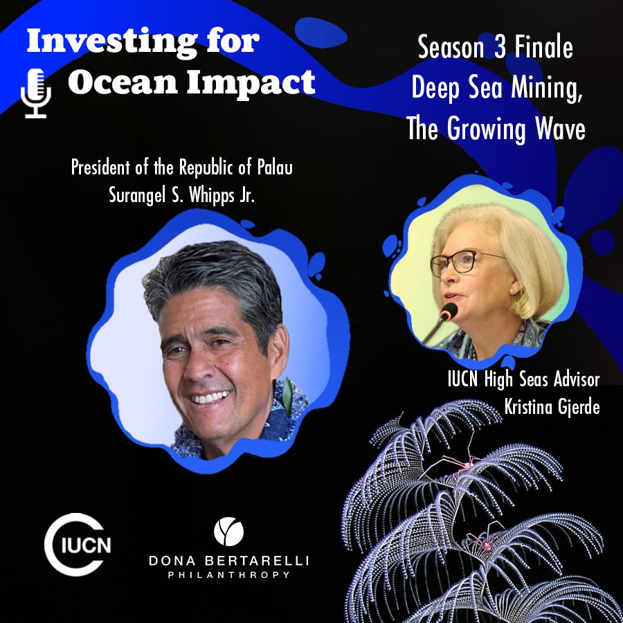 Investing for Ocean Impact - Deep Sea Mining miniseries - Episode 3 - President Whipps of Palau - Kristina Gjerde IUCN High Seas Advisor