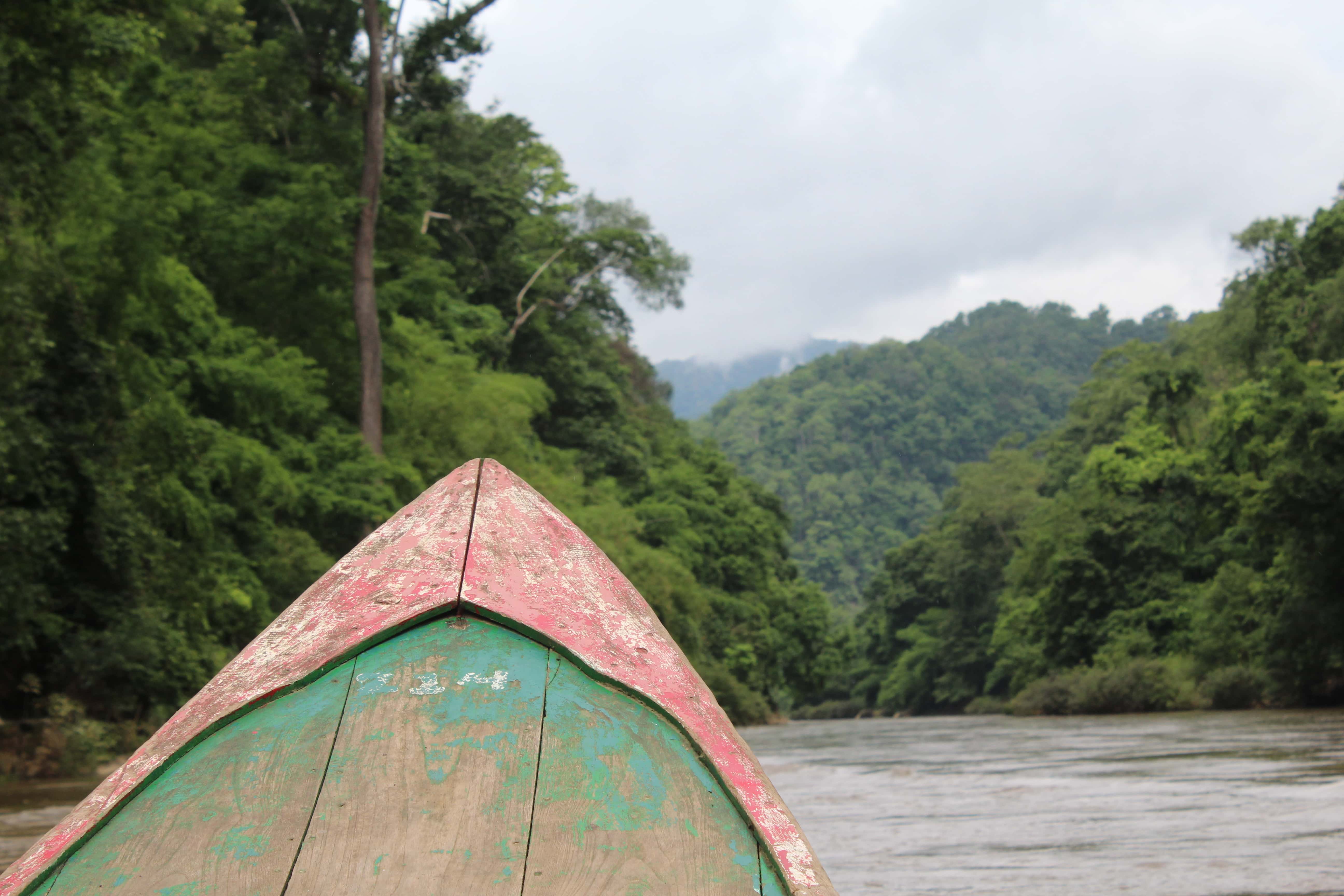 Bow of boat with a background of the river and surrounding forest