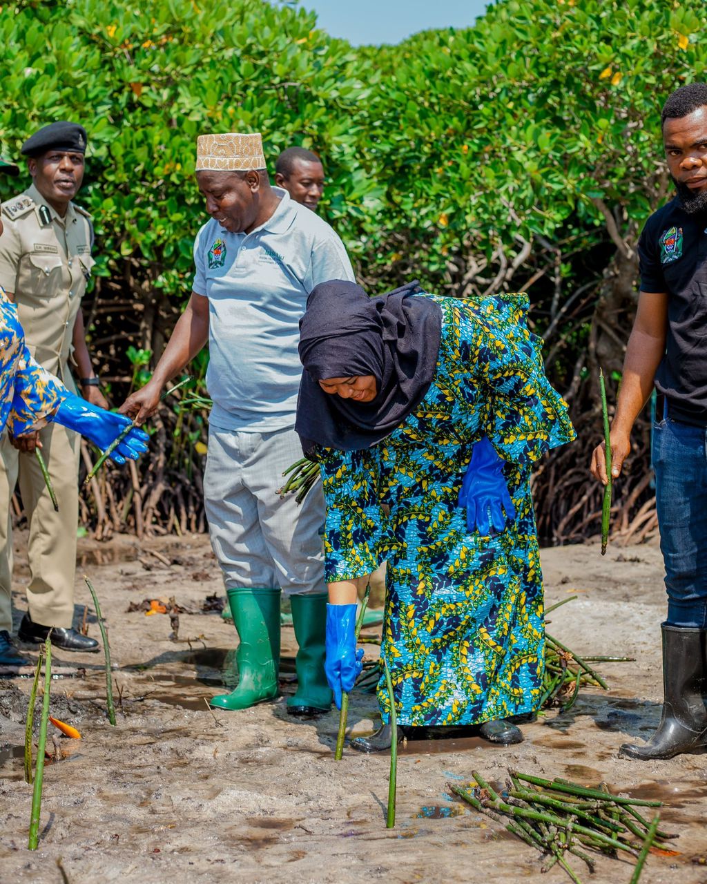 Regional Commissioner and her team engaging on Mangrove planting in Tanga