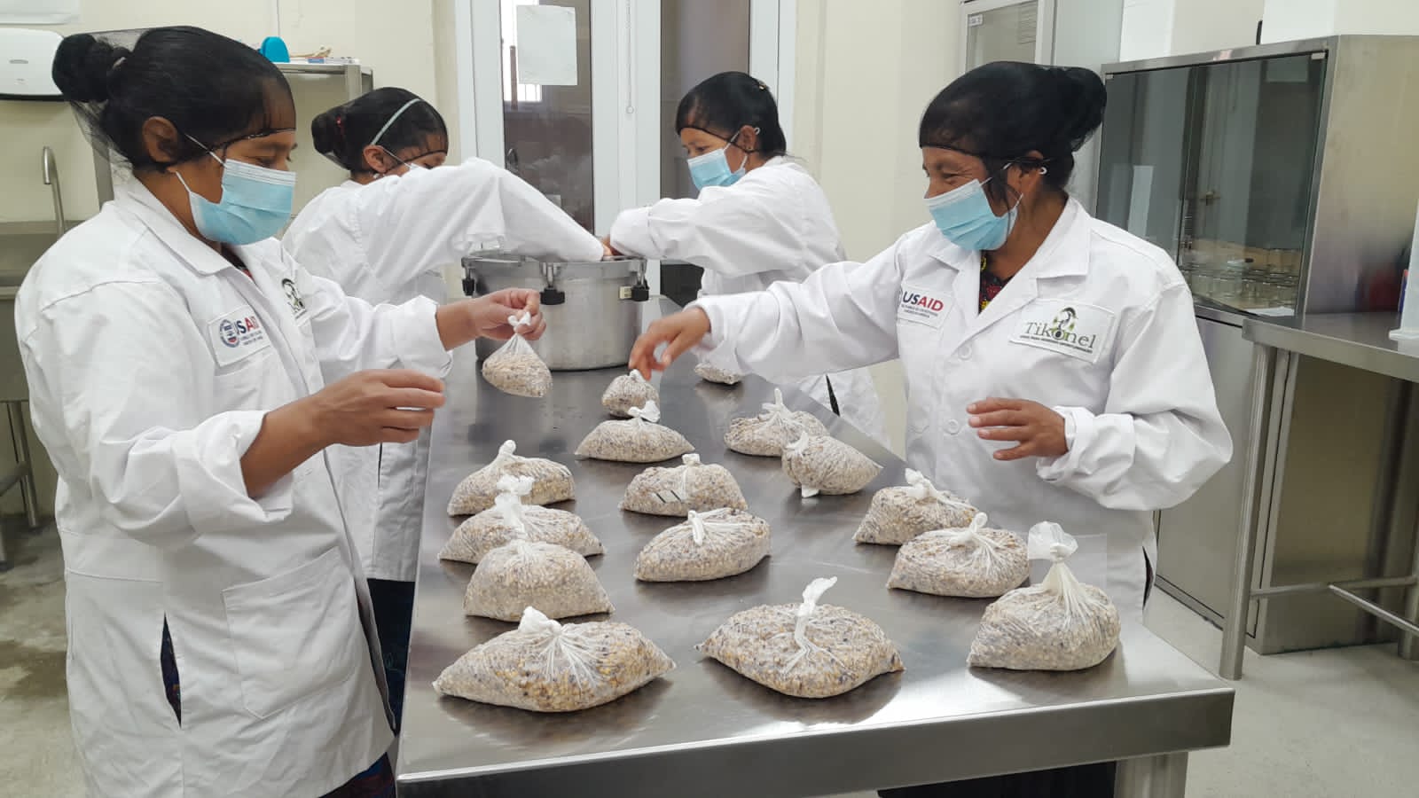 Indigenous women in Guatemala work in sustainable agriculture